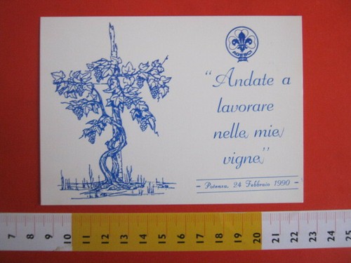 Sjgx2 italy scouts scouting - italy,