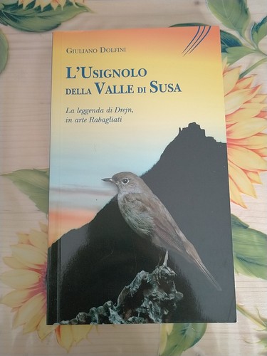 Usignolo della valle - valle, susa