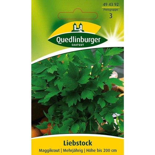 Liebstock maggikraut - liebstock,,