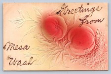 Cartolina K2/ Mesa Washington c1910 Glitter Saluti da Mesa 68