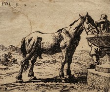 Pieter Jacobsz. Van Laer