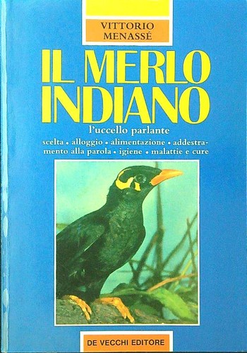Merlo indiano menasse - il, menasse'