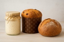 Lievito / Pasta Madre + PDF