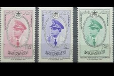 Lotto 3 Vaue Morroco