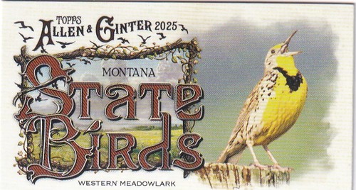 2025 topps allen - 2025, mlb