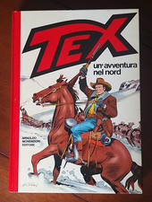 ** UN'AVVENTURA NEL NORD **