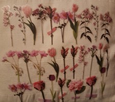 Lotto adesivi fiori con sfondo trasparente