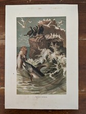 Swordfish Print-From Life Of
