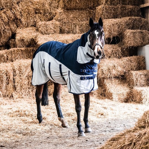 Tappeto cavallo 600d - cavallo, rete