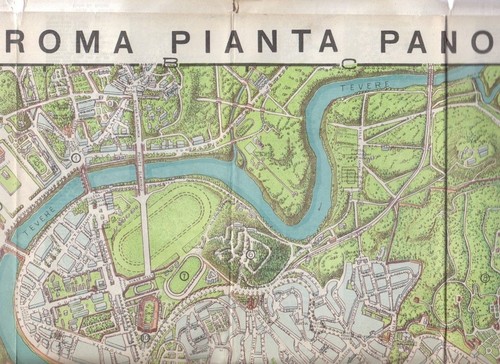 Roma pianta panoramica - pianta,