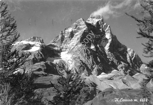 Cartolina postcard monte - cartolina,