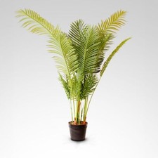Palma areca finta alta 150 - finta,