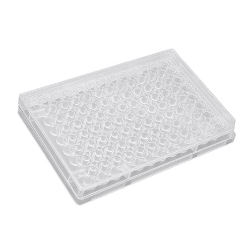 10pz piastra coltura - 10pz, tissutale