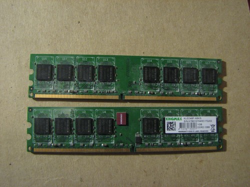 Kingmax 1gb - kingmax, (2gb