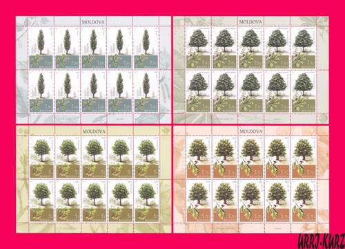 Moldavia 2018 natura flora - moldavia,