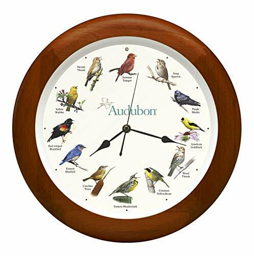 Audubon society singing - society, bird