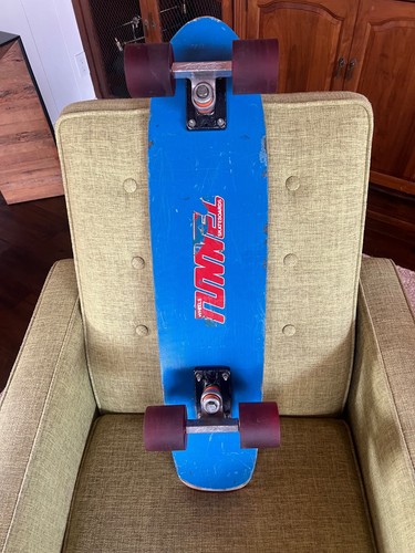 Tunnel skateboard 1977 - 1977, vintage