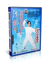 Martial Arts Kung Fu Hsing-I