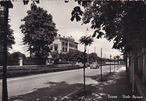 Cartolina trieste viale - cartolina, ,viale