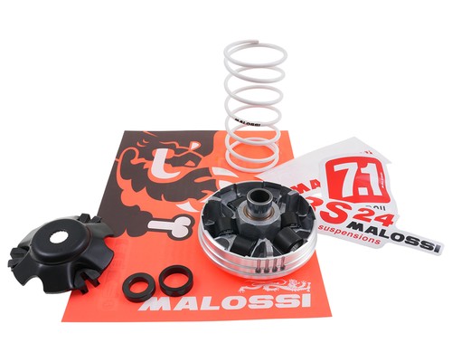 Variatore malossi multivar - variatore,