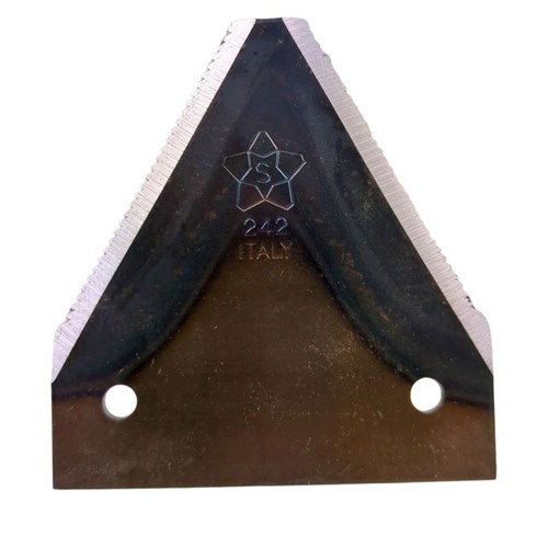 Dente lama sezione - , tipo