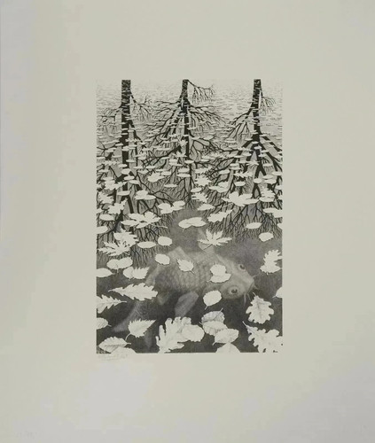 Escher autunno e carpa - m.c., escher: