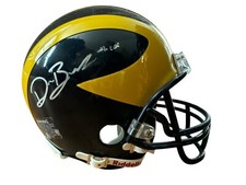 Mini casco autografo Michigan
