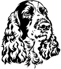 Adesivo SPRINGER SPANIEL -