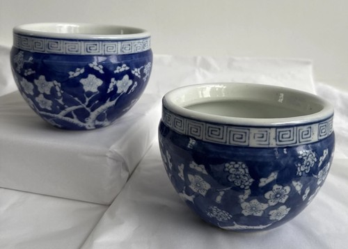 Coppia fioriere blu bianche - blu,
