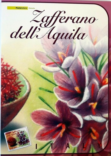 2008 italia repubblica folder