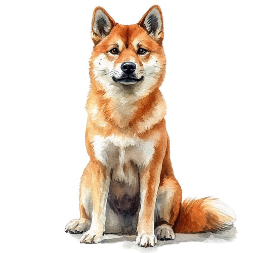 Adesivi akita inu - akita,