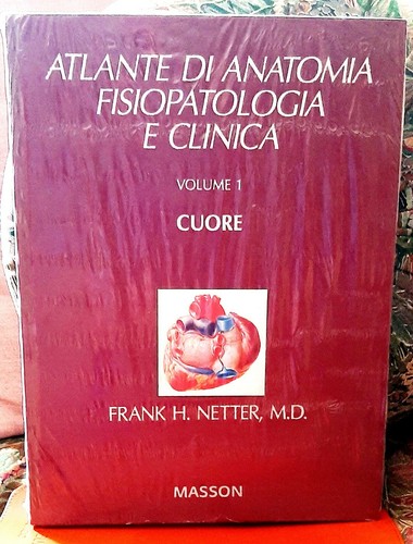 Netter cuore vol 1 - -,
