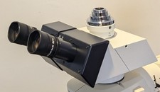 Leica Microscopio Trinicolare