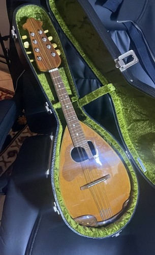 Mandolino napoletano - mandolino,