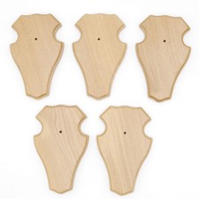 5 Pezzo Cervo Trofeo Segni