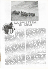 Nicola Brancaccio - LA SVIZZERA IN ARMI