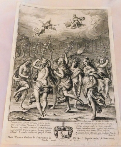 Amata lavinia tra le - amata,