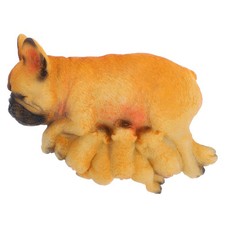  Bulldog Francese Accessori