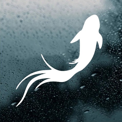 Adesivo vinile koi fish - fish, |