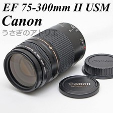 Teleobiettivo Canon EF 75-300