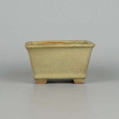 Vaso per bonsai - , giapponese