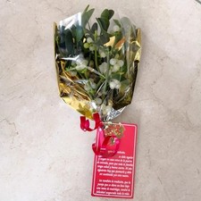 Ramillete de la Suerte