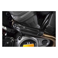 Zard, Pan America Carbon Heat