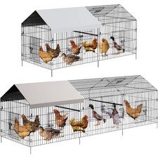 Pollaio recinto all'aperto