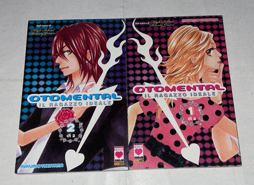 Otomental ragazzo ideale - il,