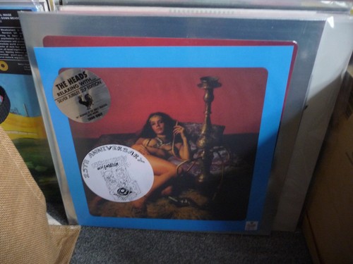 The heads relaxing with 2lp - heads,