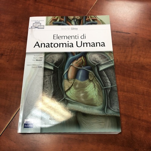 Gilroy elementi anatomia - gilroy-elementi, di
