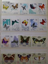 Oggetto Collection Farfalle +