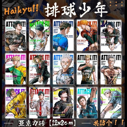 Mattone acrilico haikyuu set - mattone,