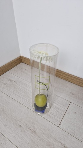Vaso monofiore design matteo - vaso,